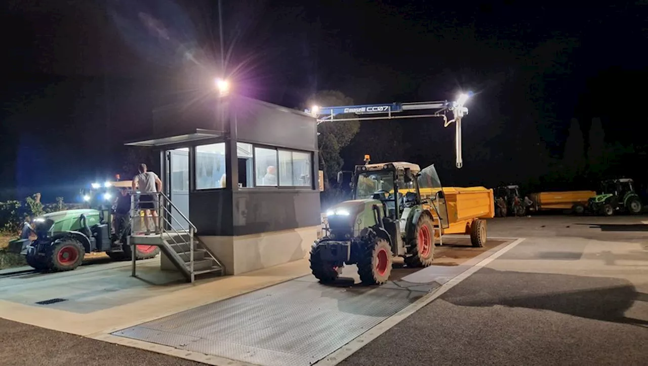 Vendanges en Biterrois : la qualité au rendez-vous, la quantité un peu moins