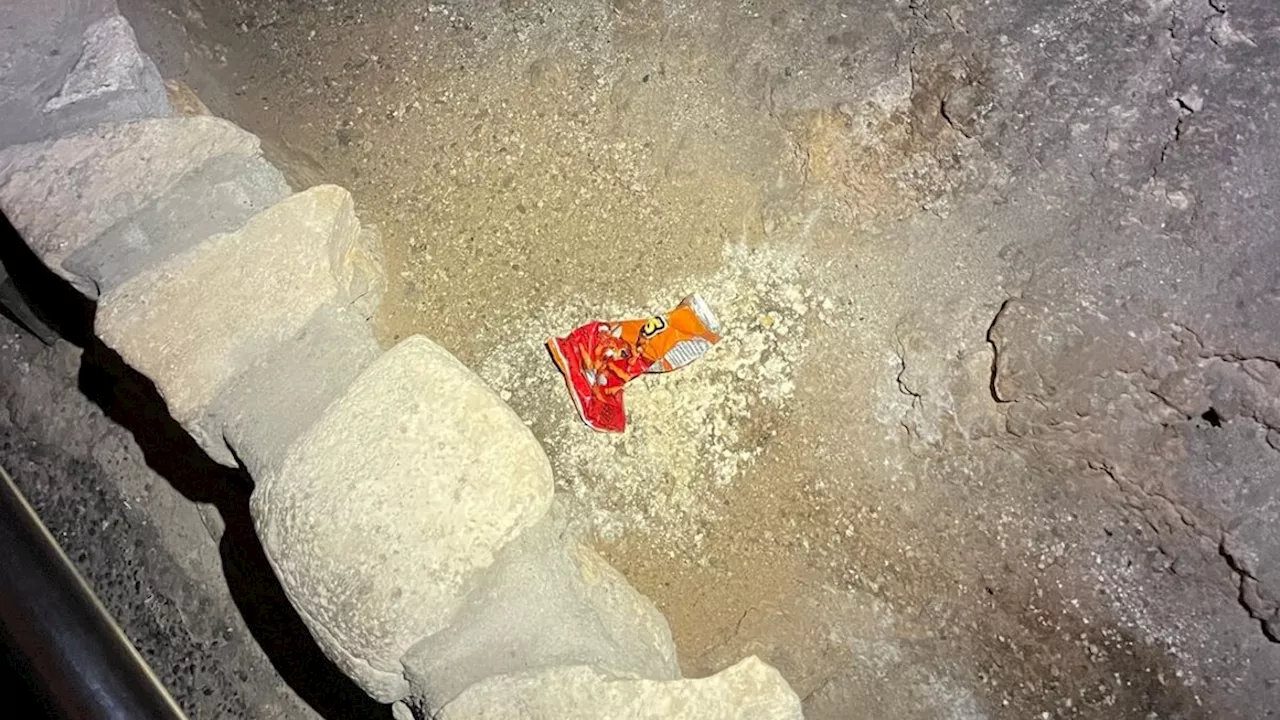 How a bag of Cheetos disrupted the ecosystem at Carlsbad Caverns National Park