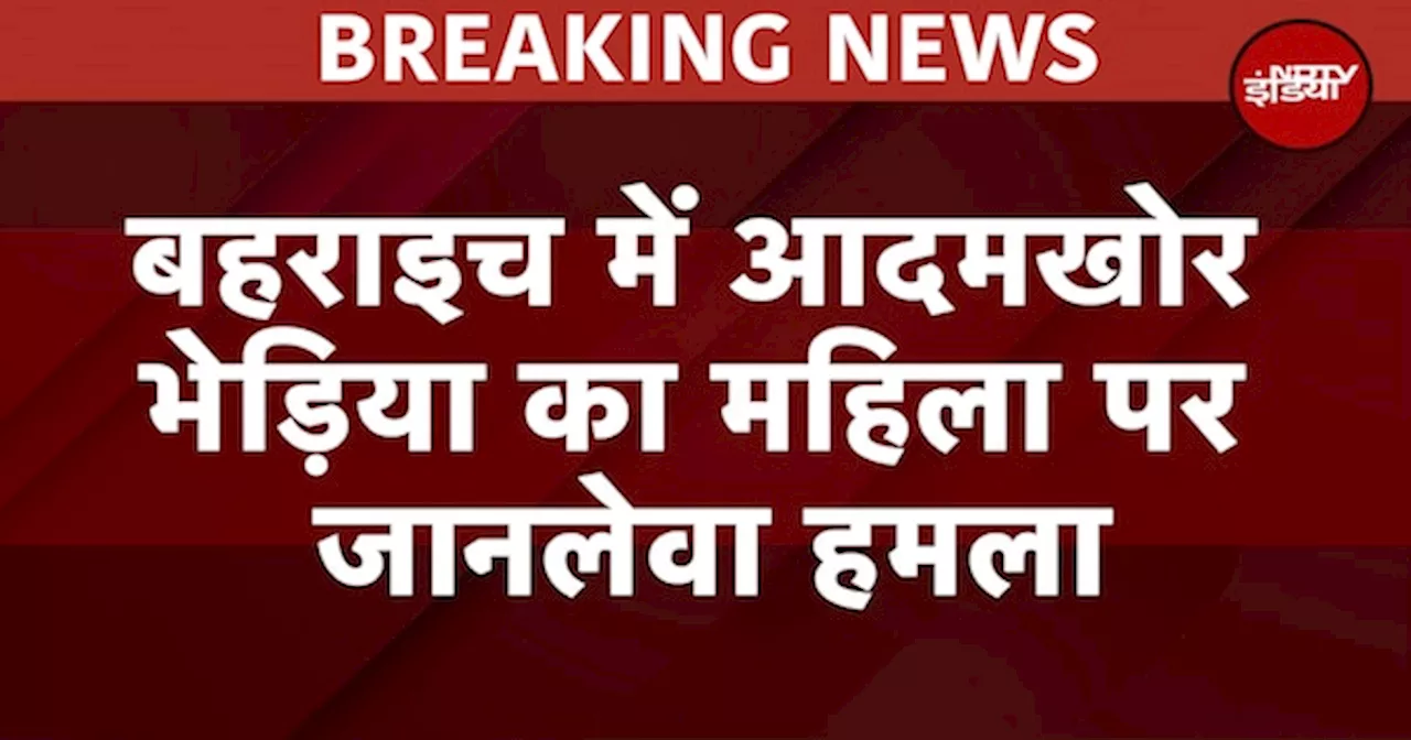 Bahraich Wolf Attack Breaking: बहराइच में आदमखोर भेड़िया का महिला पर जानलेवा हमला, बाल-बाल बची महिला