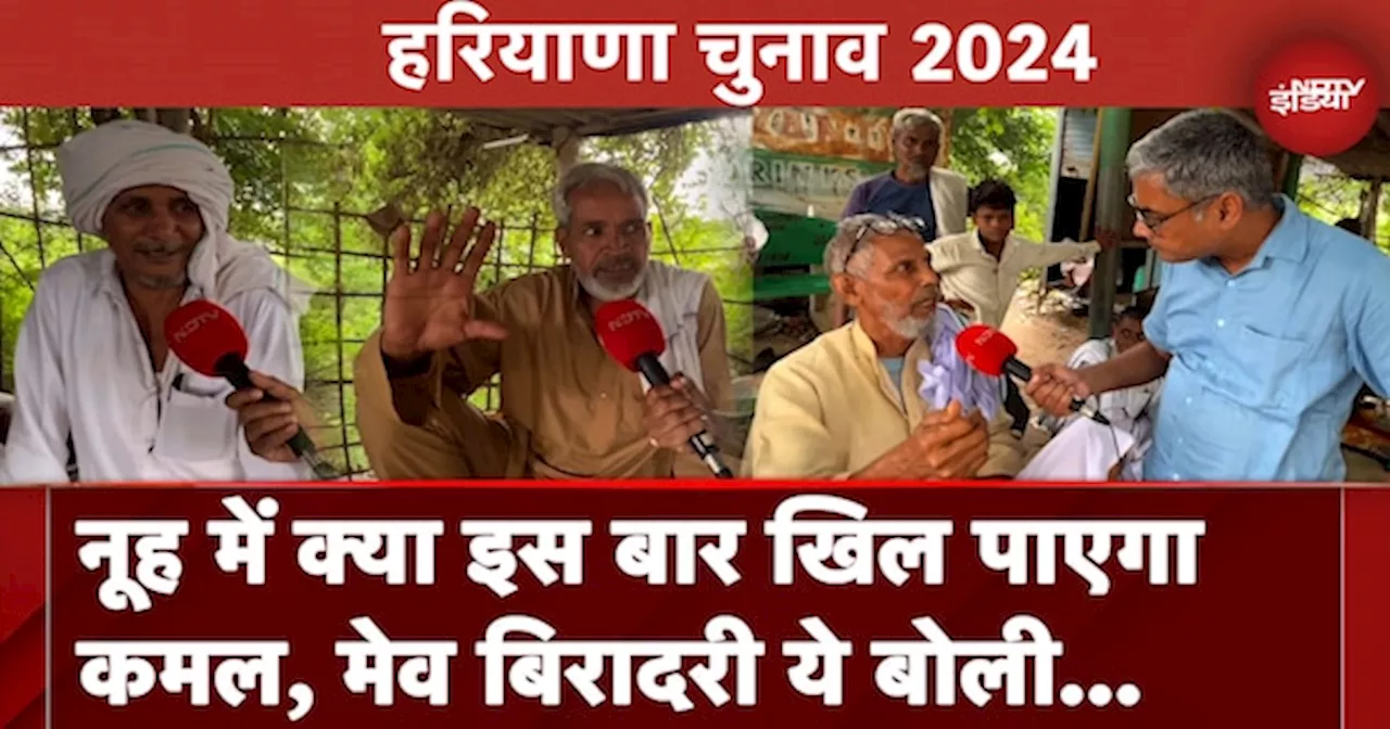 Haryana Assembly Election 2024: Nuh में क्या इस बार खिल पाएगा कमल, मेव बिरादरी ये बोली…