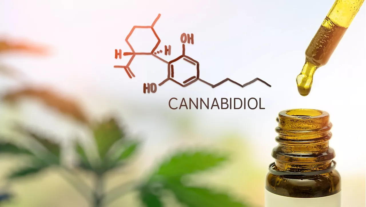 Cannabidiol shows promise in treating cognitive disorders