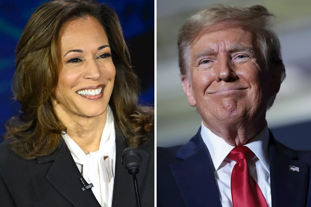 Donald Trump Ruling Out Another Debate Could Be Gift to Kamala Harris