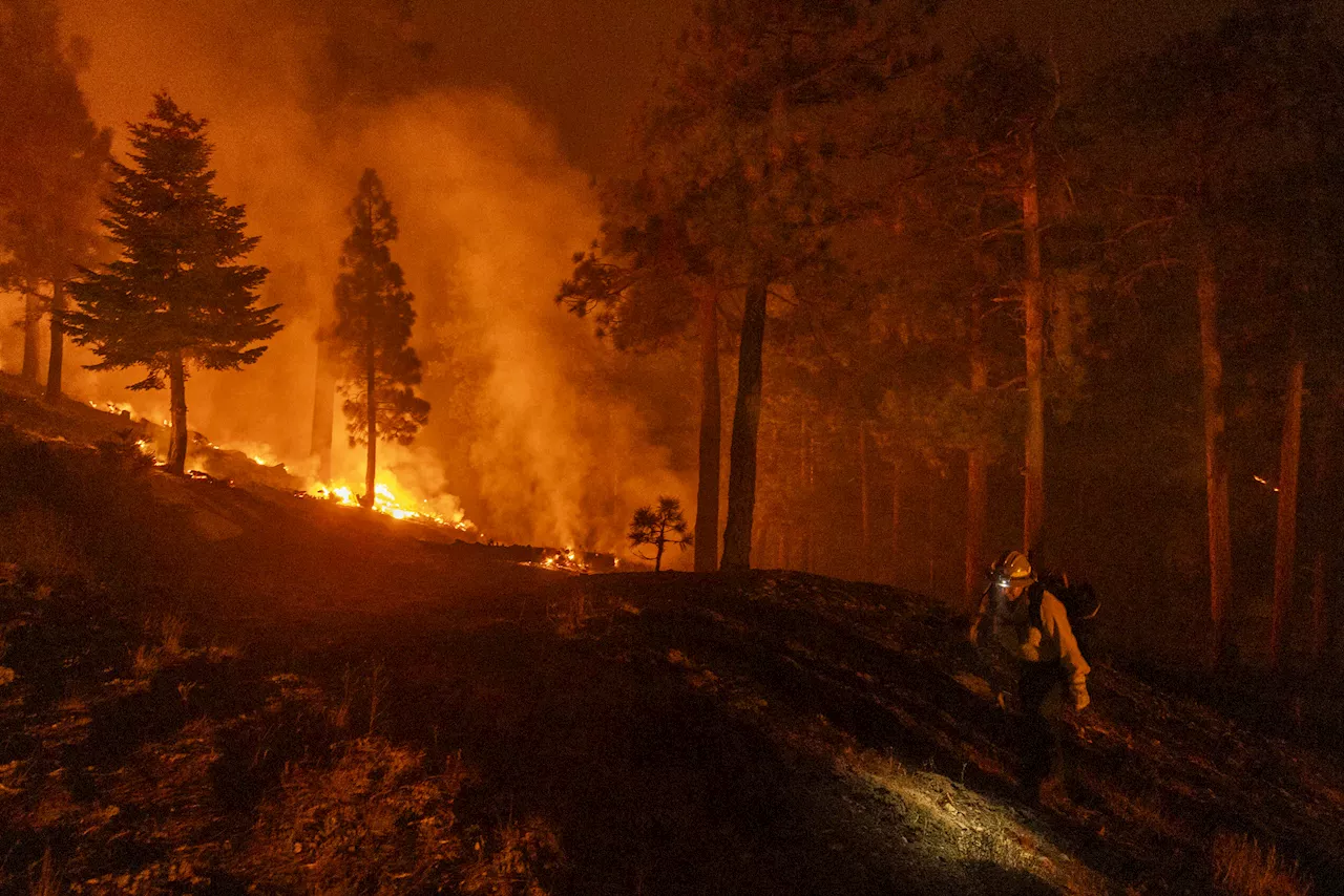 Video Shows 'Heroic Rescue' of Man and His Dog from California Airport Fire