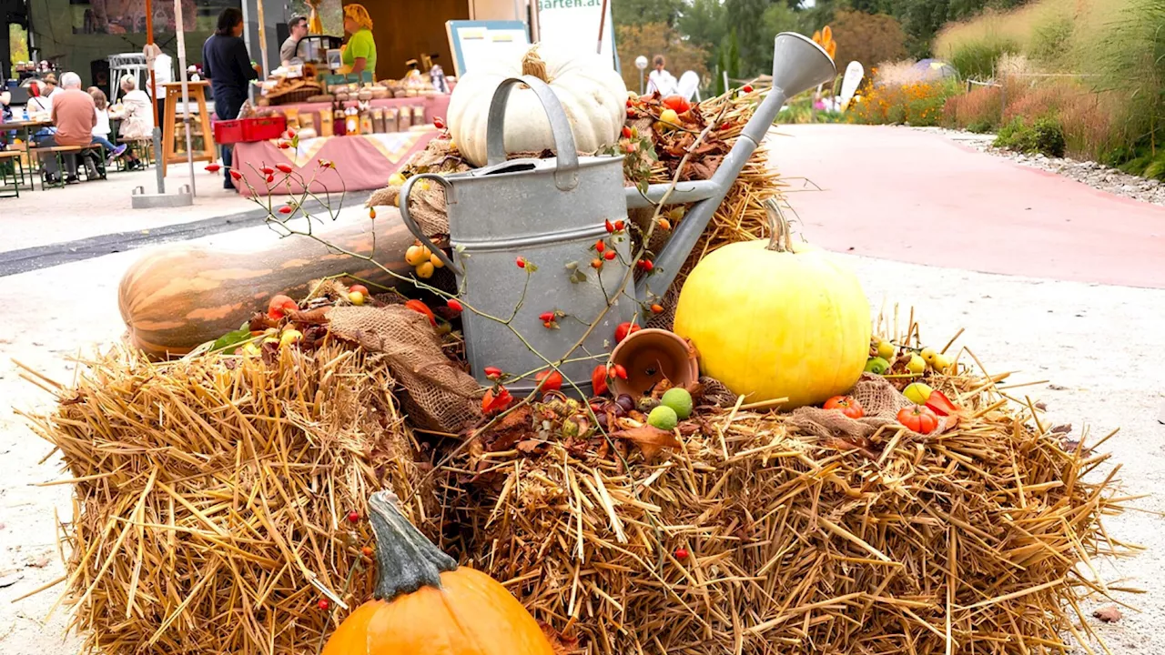 Herbstfest in Tulln: 25 Jahre Natur im Garten