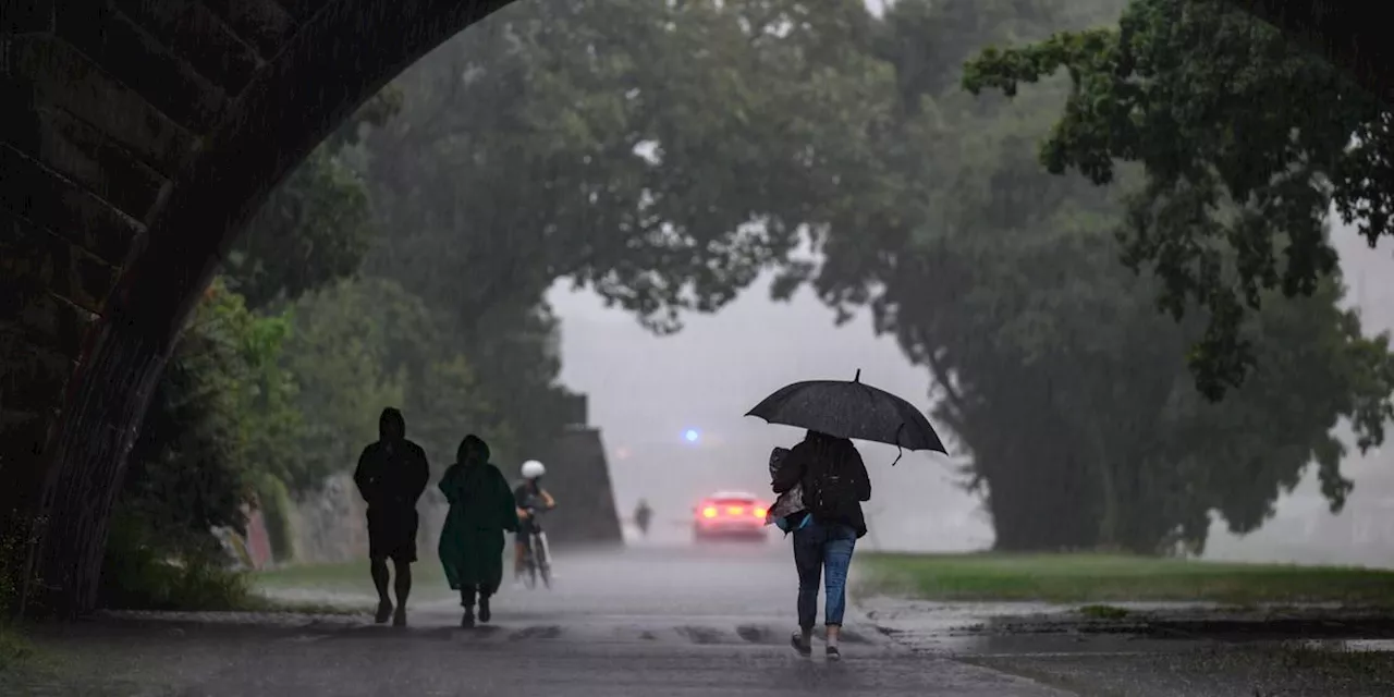 DWD mit amtlicher Unwetterwarnung wegen Dauerregen in Cham - weitere Warnungen in Bayreuth und Hof