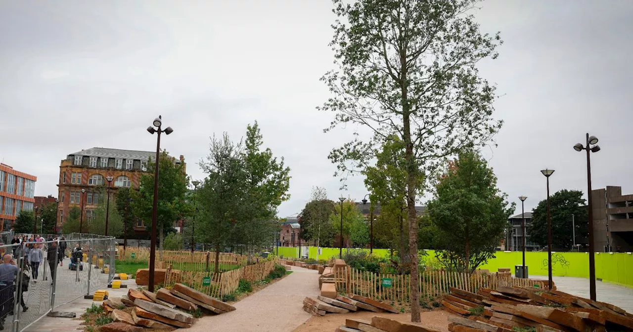 Tree successor to Major Oak planted at Green Heart in city centre