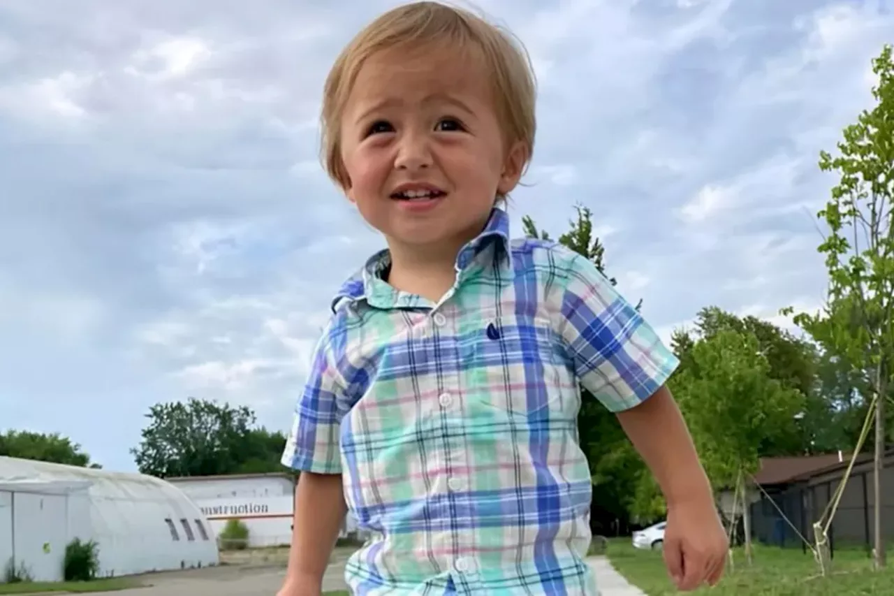 Elijah Vue's remains found by hunters nearly 7 months after Wisconsin tot vanished: cops