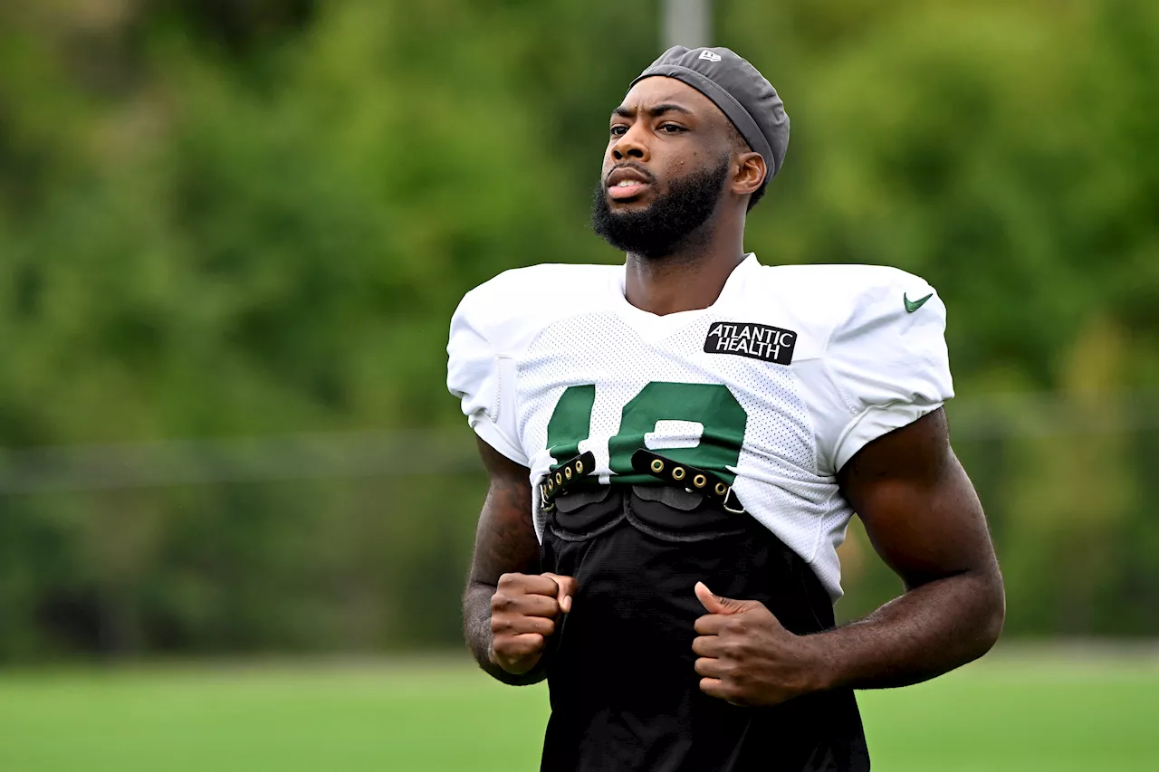 Jets' patient approach just fine with veteran receiver Mike Williams