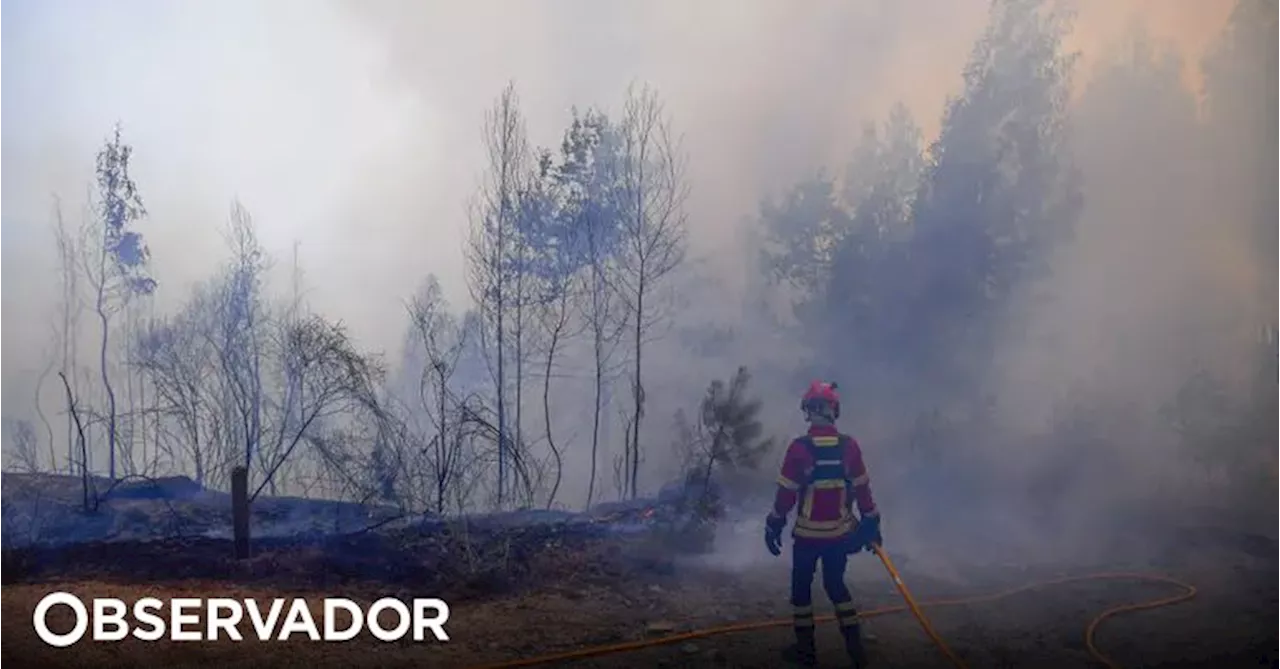 PJ detém homem de 50 anos suspeito de atear oito incêndios no concelho de Braga