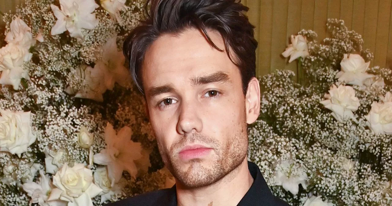 Liam Payne Shares Rare Photo Of Son Bear Looking At His Billboard