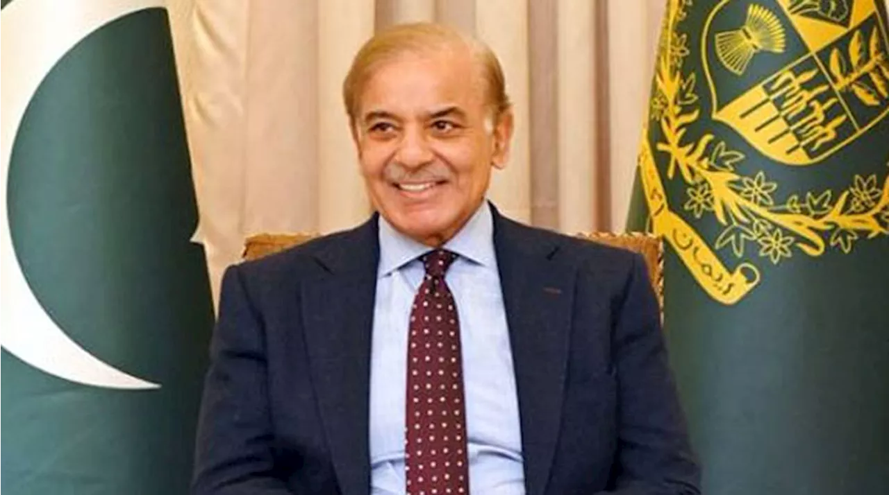 PM Addresses Virtual Meeting: Shehbaz For Innovative Solutions To Address Debt Challenges