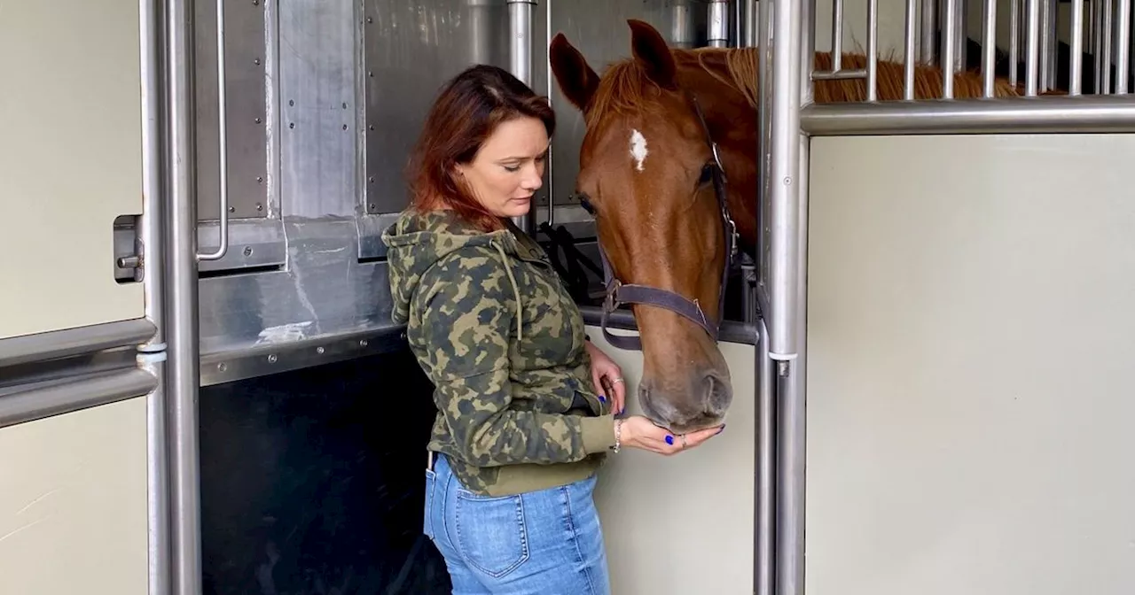 Paarden Marco en Maico uit Grolloo naar Den Haag voor Prinsjesdag