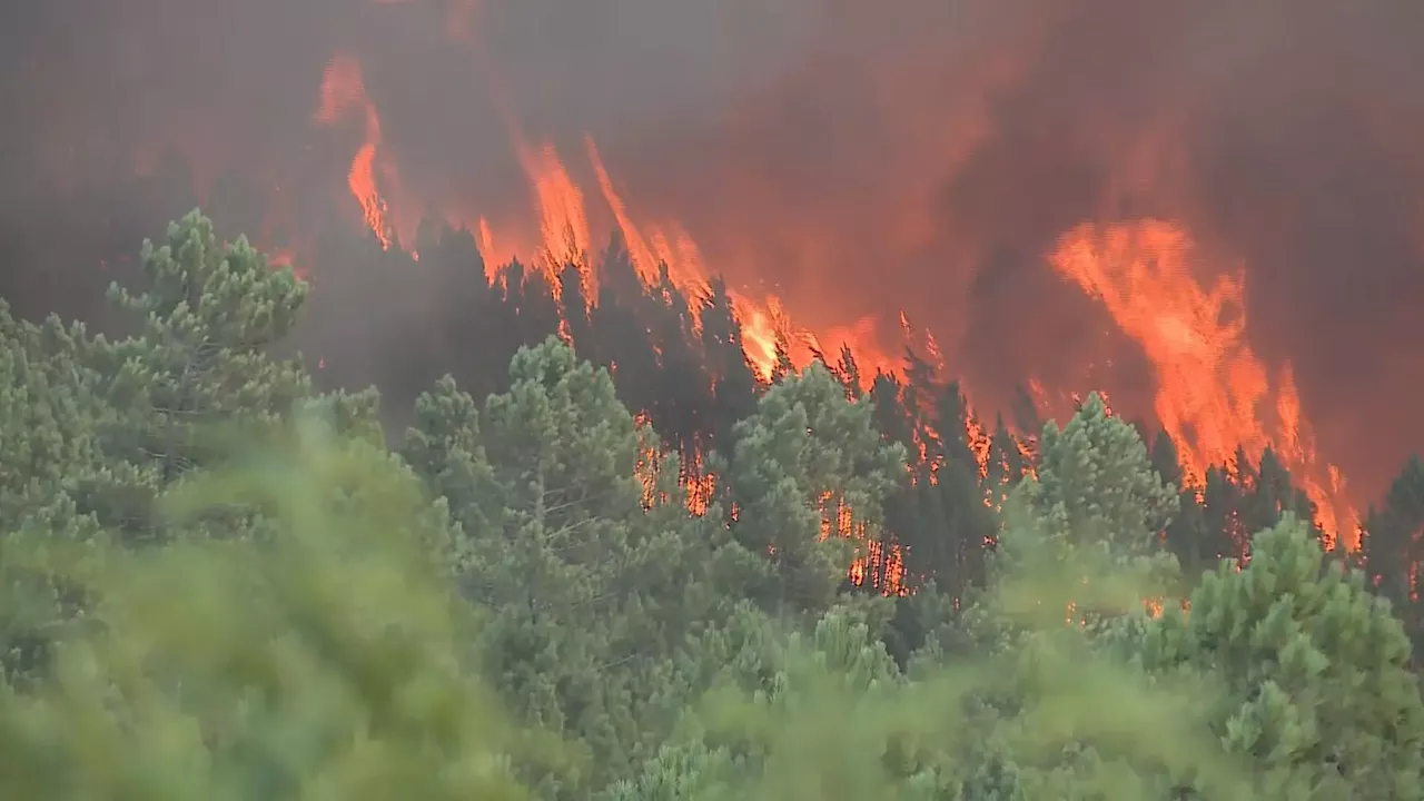 Incêndio no Fundão combatido por dezenas de operacionais