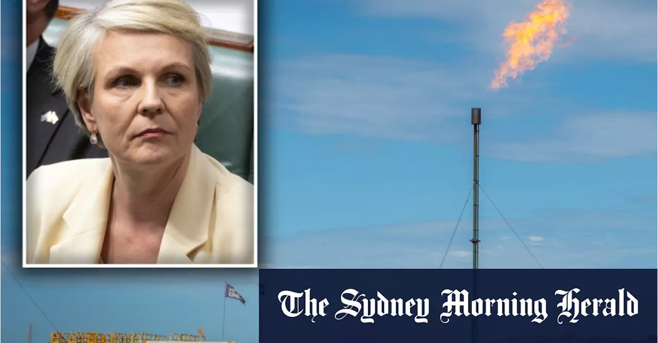 Plibersek intervenes in giant ‘climate bomb’ gas project