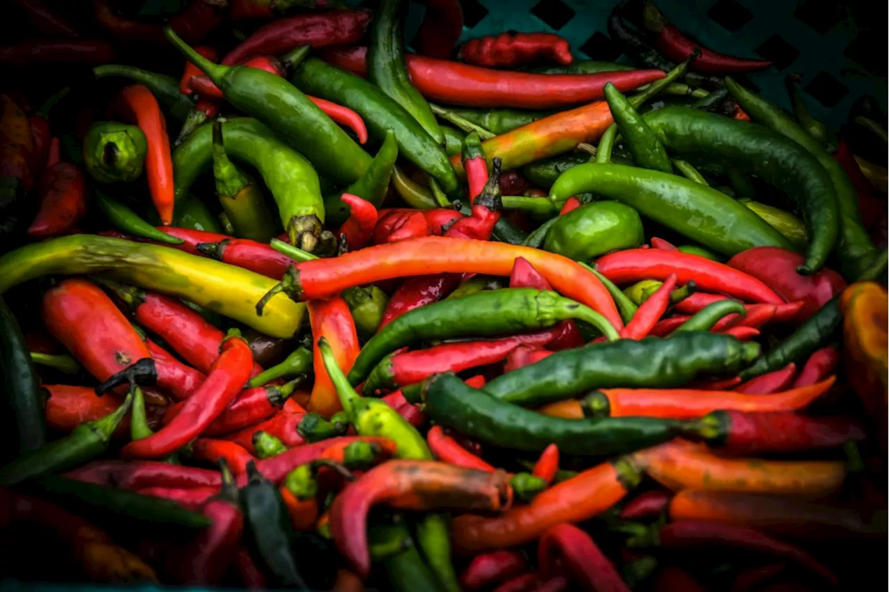 Quickcheck: Can eating spicy food kill you?