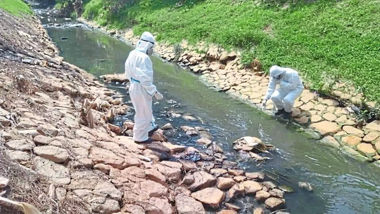 ‘Slap polluters with heavier fines, jail’