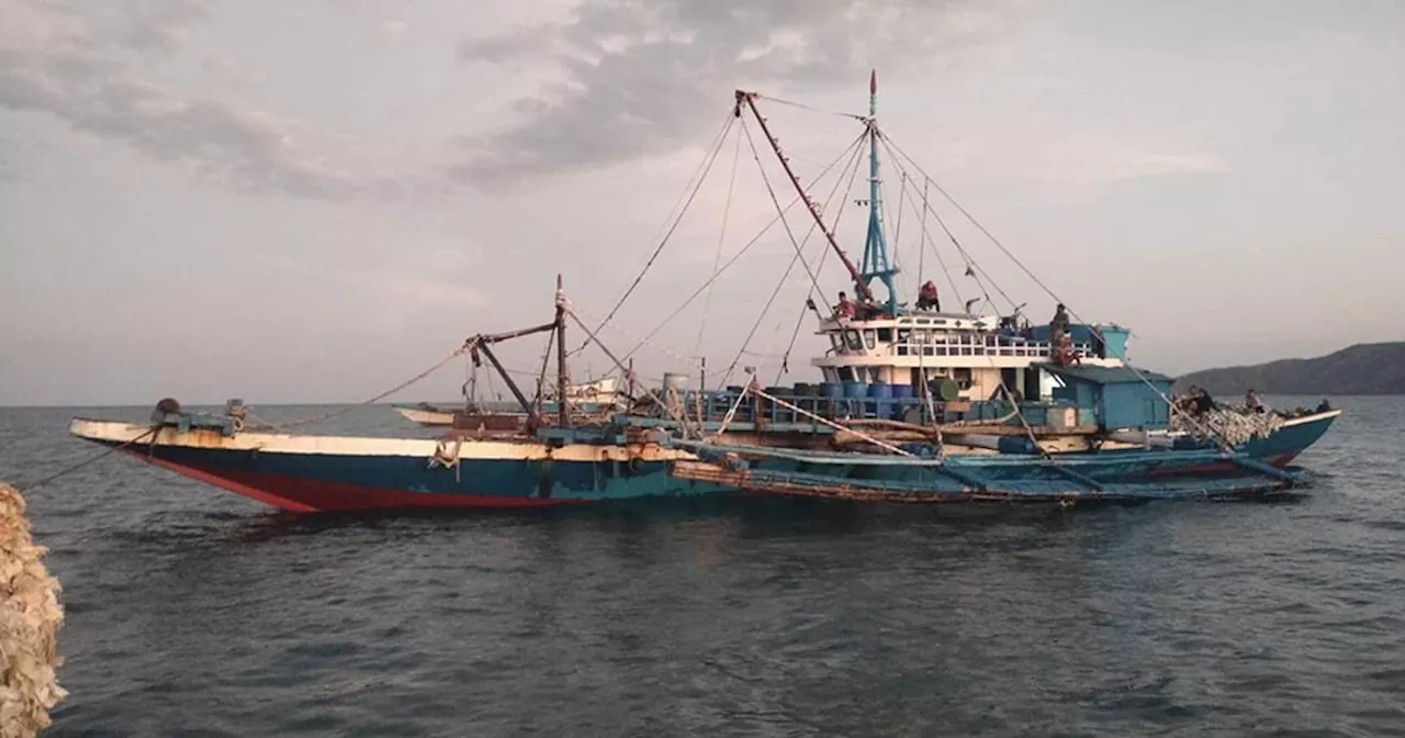 Closed season boosts Davao Gulf catch by 17%