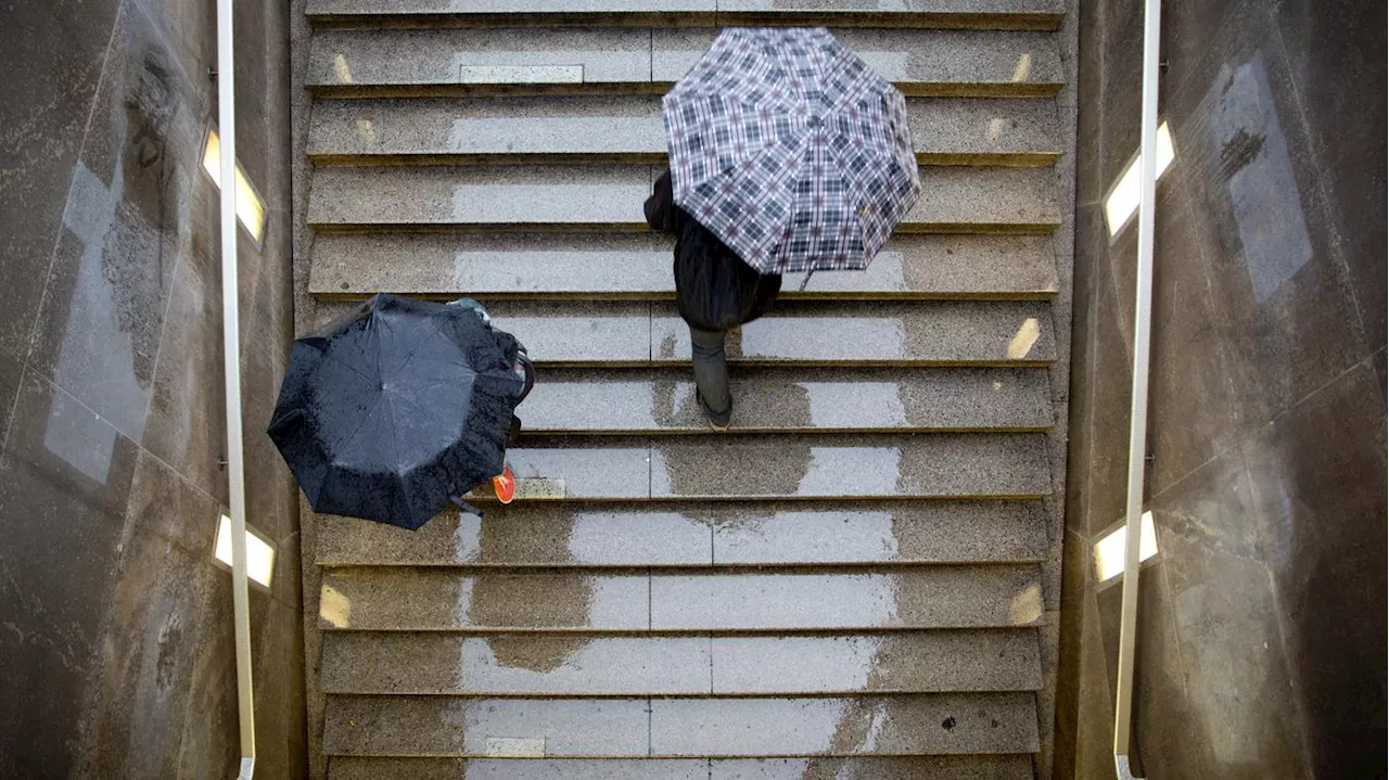 Am Wochenende Regenschirm einpacken: Herbstliches Schmuddelwetter in Berlin und Brandenburg erwartet