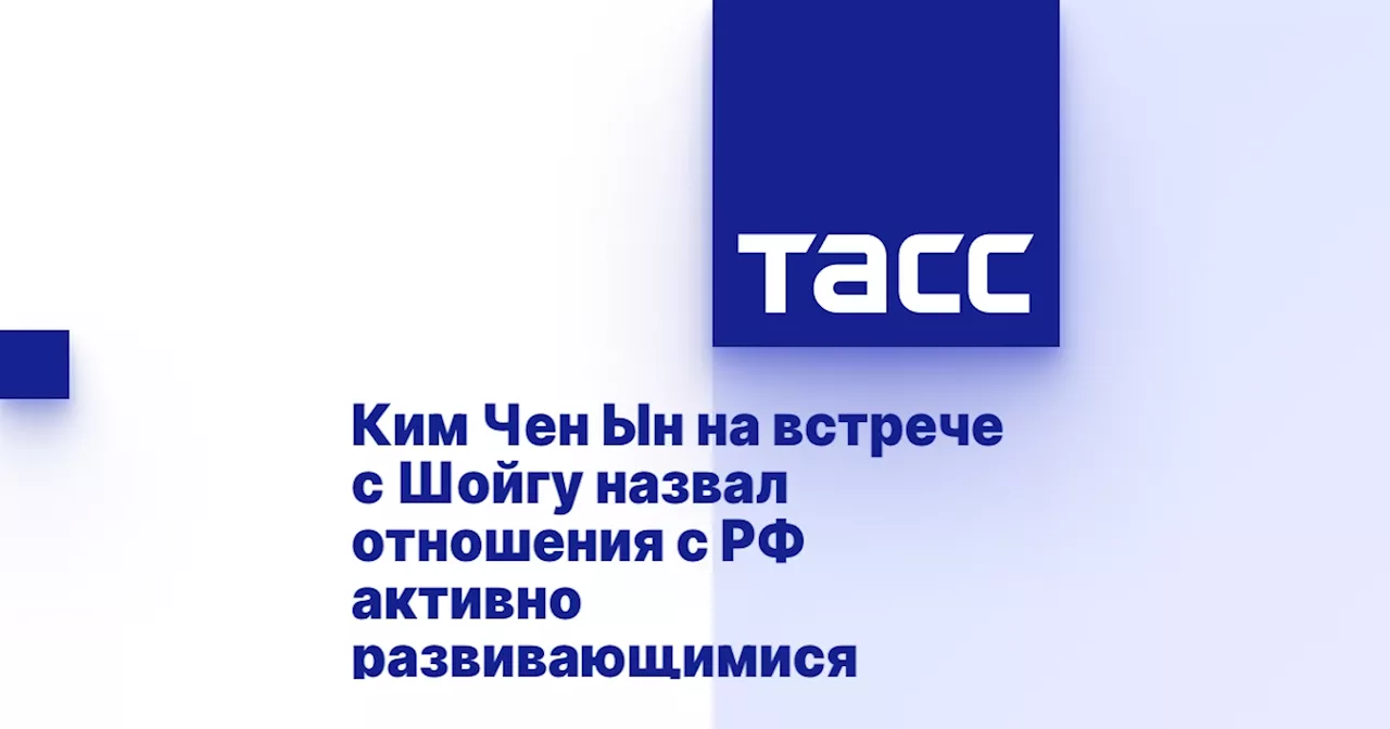 Ким Чен Ын на встрече с Шойгу назвал отношения с РФ активно развивающимися