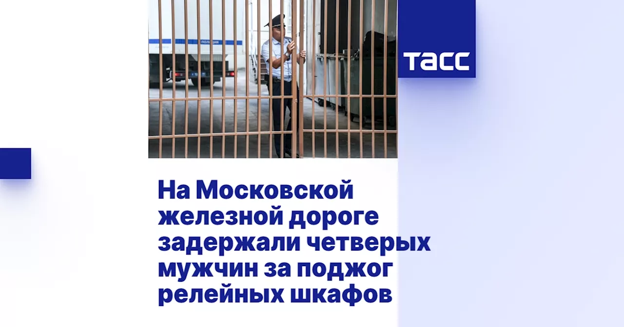 На Московской железной дороге задержали четверых мужчин за поджог релейных шкафов