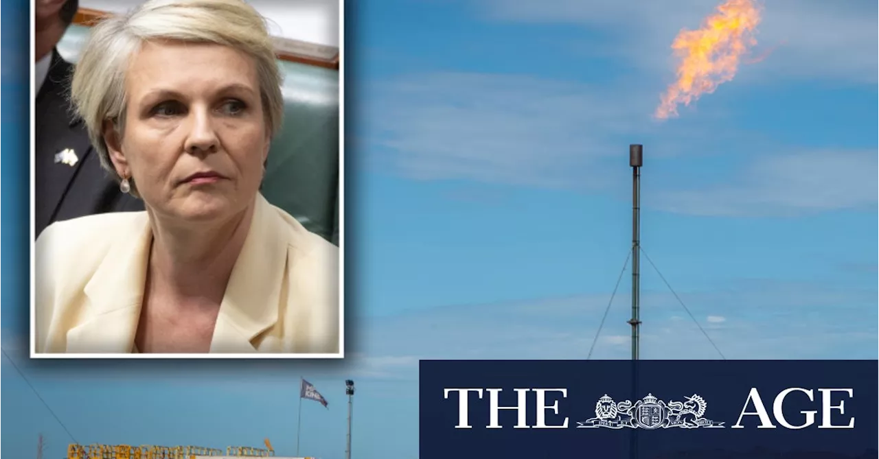 Plibersek intervenes in giant ‘climate bomb’ gas project