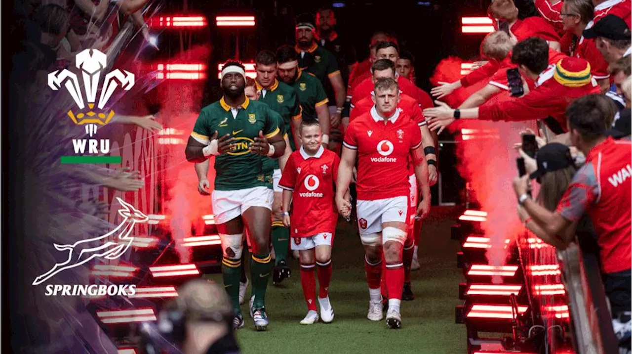 Springboks on brink of adding Rugby Championship title to Rugby World Cup crown