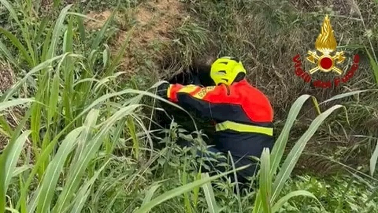 Alessandra Gallina: trovata morta in un fosso la donna scomparsa da 48 ore