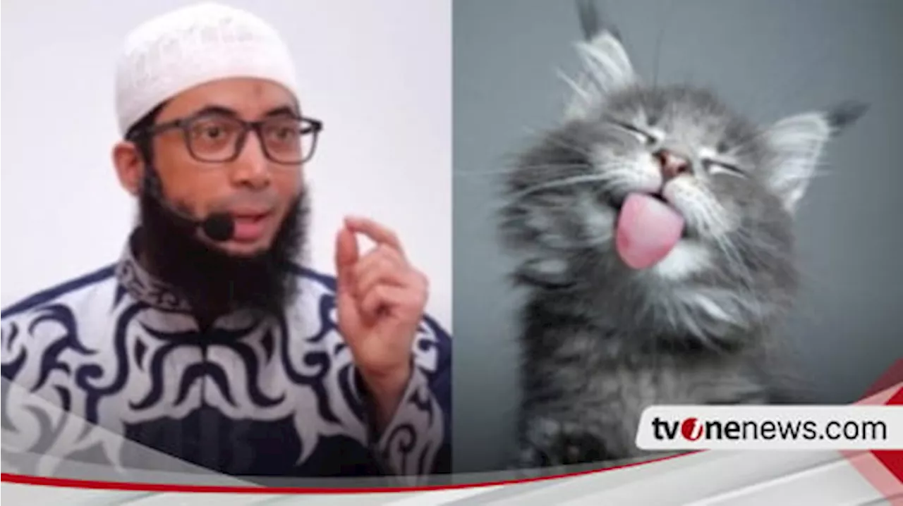 Meski Suka Lucu dan Gemas di Rumah, Tolong Sekarang Jangan Pelihara Kucing, Ustaz Khalid Basalamah Ingatkan Bawa Tanda...