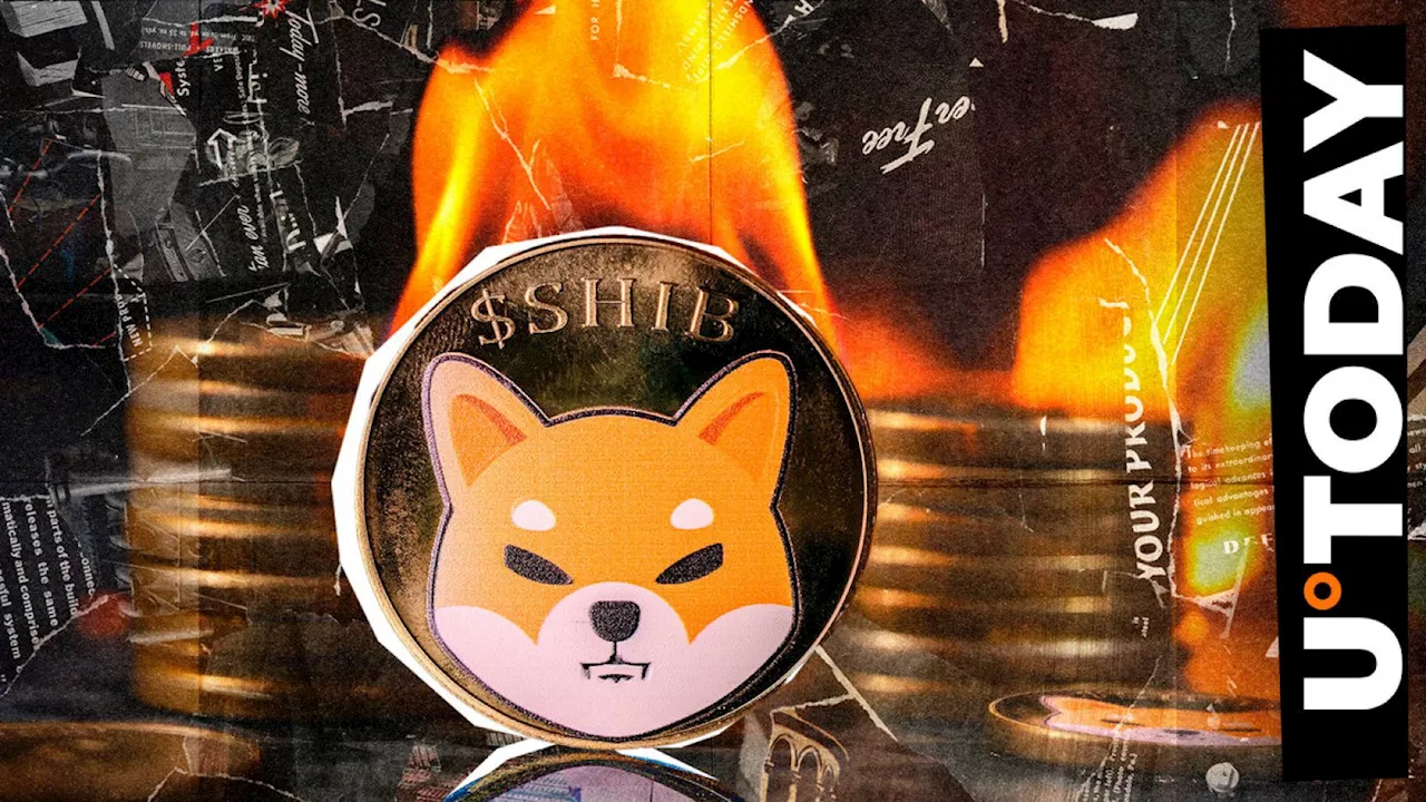 SHIB Burns Skyrocket 340%, Price Reacts Unexpectedly