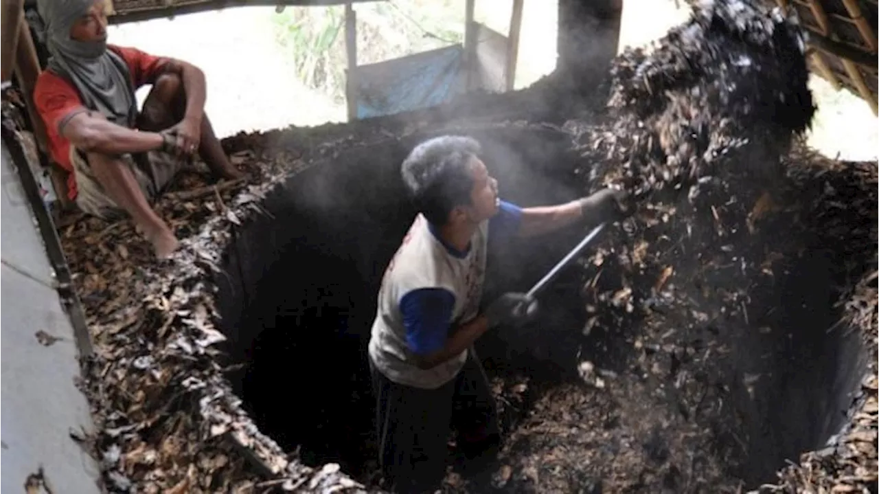 Polemik RPMK, Petani Tembakau dan Cengkeh Minta Perlindungan Kementan