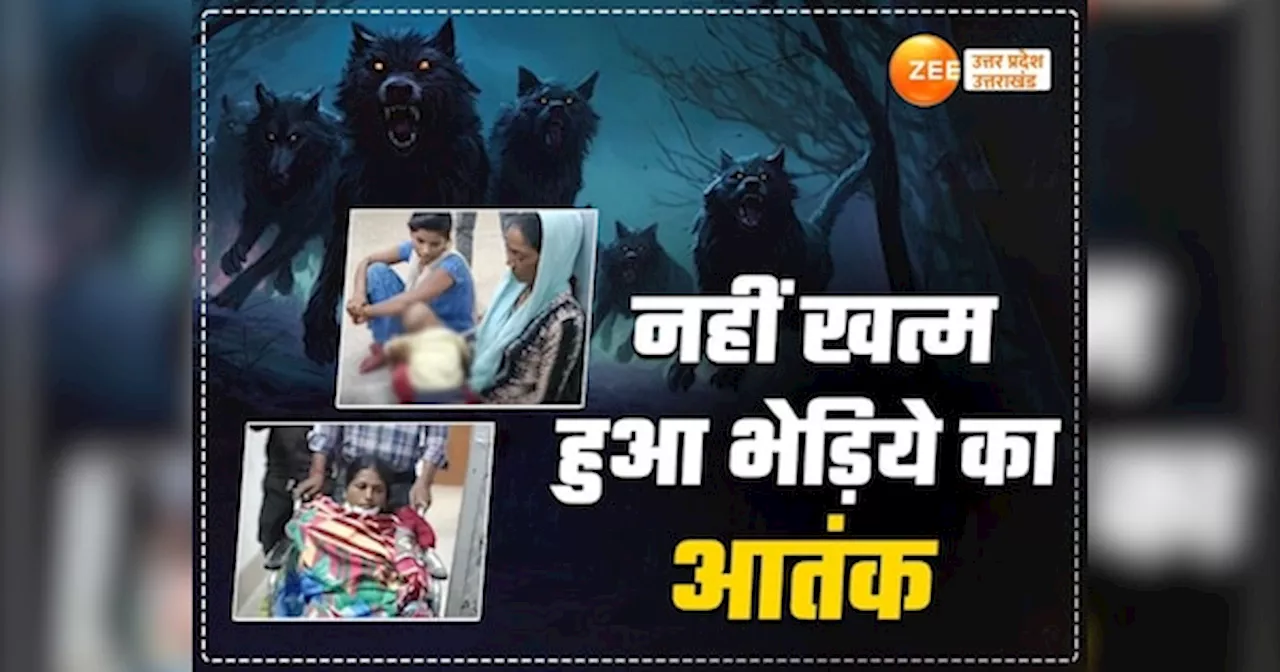 Bahraich Bhediya Attack: दो बेटियों के साथ सो रही मां पर भेड़िये का अटैक, पिछले 72 घंटों में छह लोगों पर हमला