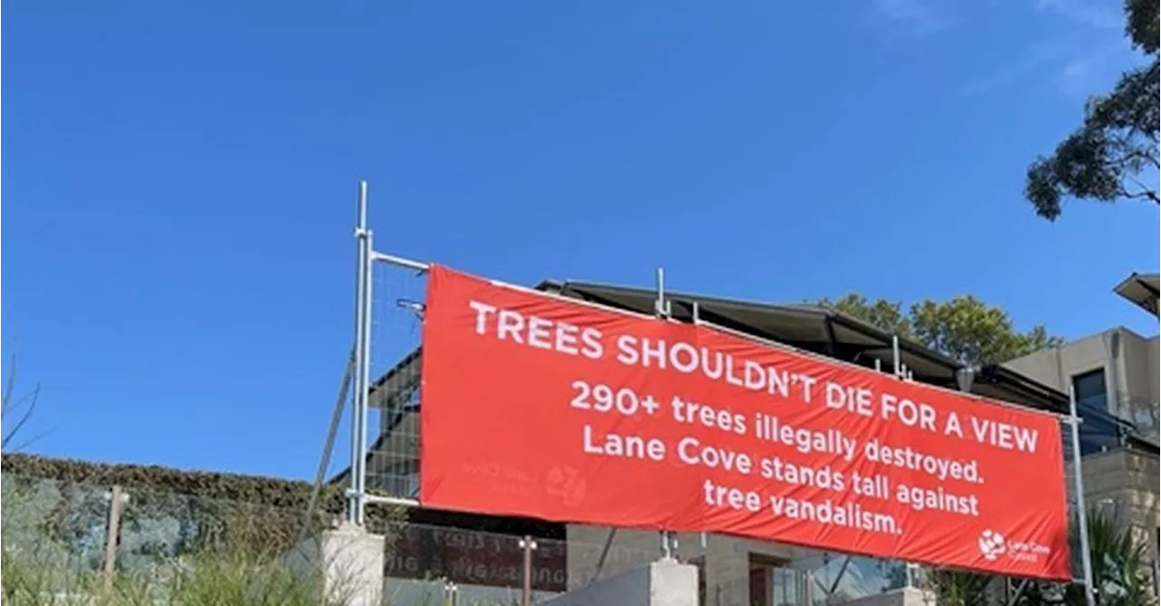 Sydney council installs giant banner to block view after hundreds of trees vandalised