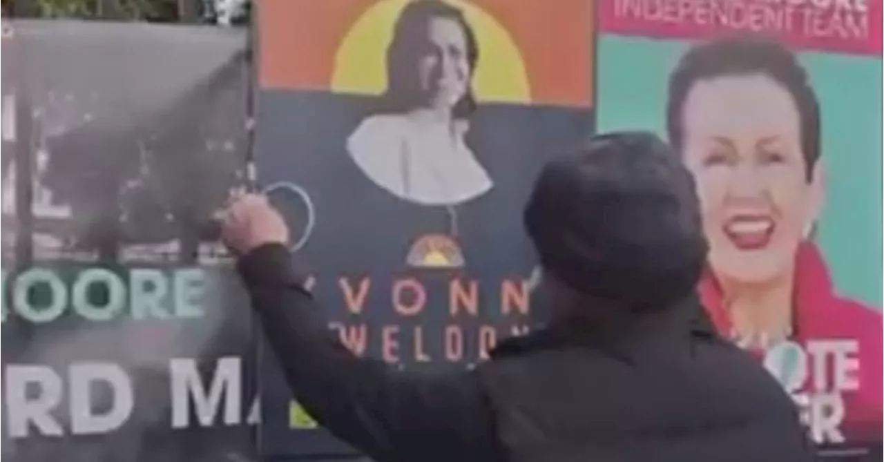 Volunteer for Sydney Mayor Clover Moore's campaign accused of pulling down rival posters