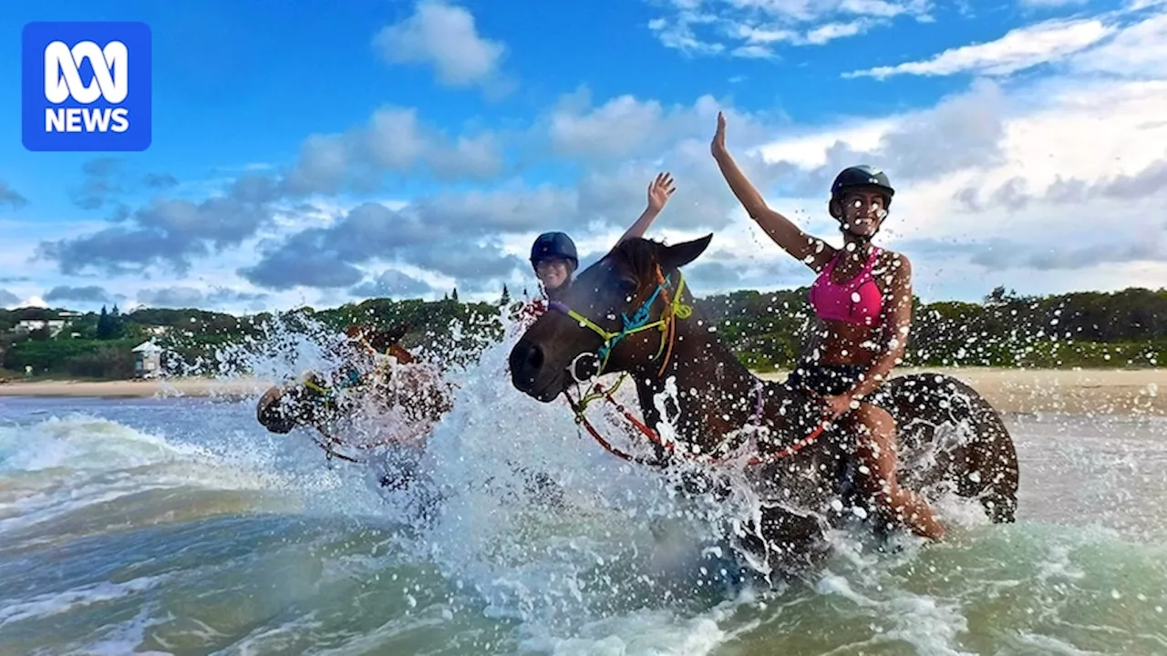 Beach horse riding business set to close after decade as Sunshine Coast tourism 'ambassador'