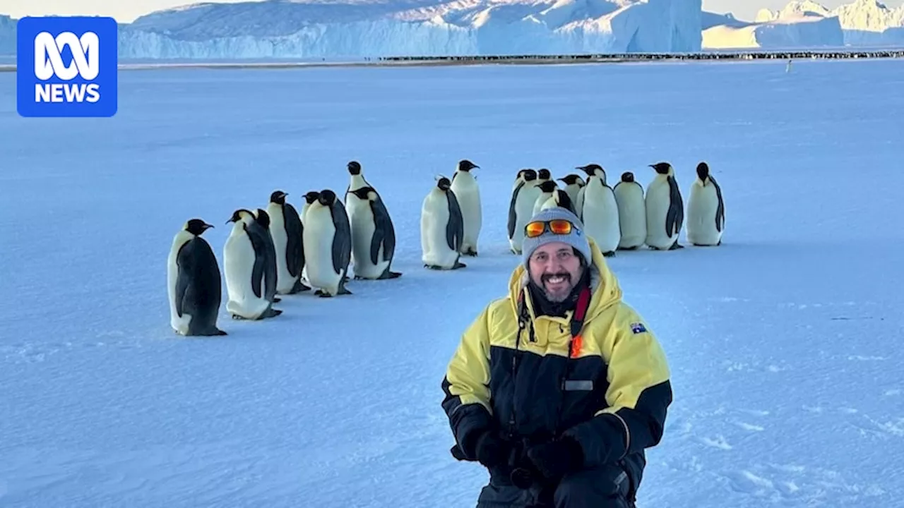 Carpenter quits council job for a 'change of pace' at Mawson Station, Antarctica