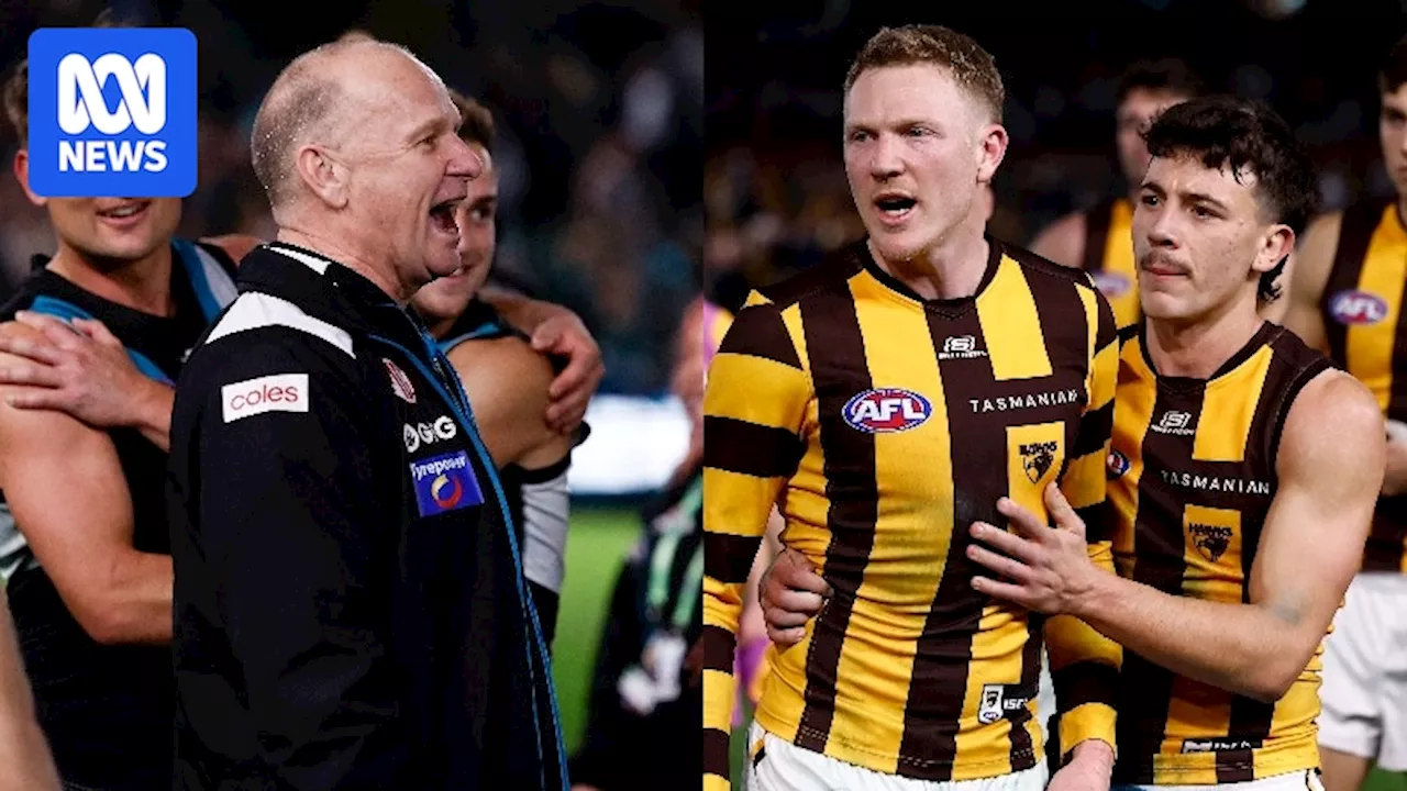 Hawks skipper James Sicily doubles down after Ken Hinkley confrontation in Port Adelaide's AFL semifinal win