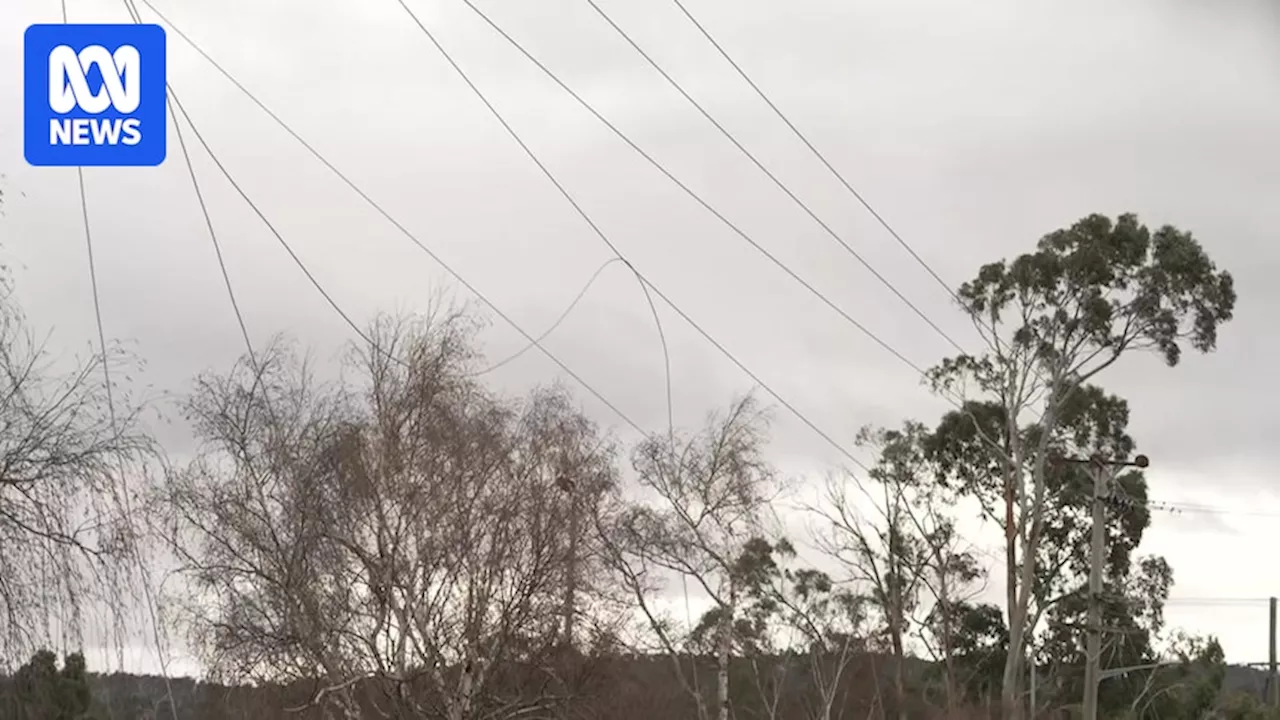 Tasmania's handling of extended power outage under scrutiny as independent inquiry announced