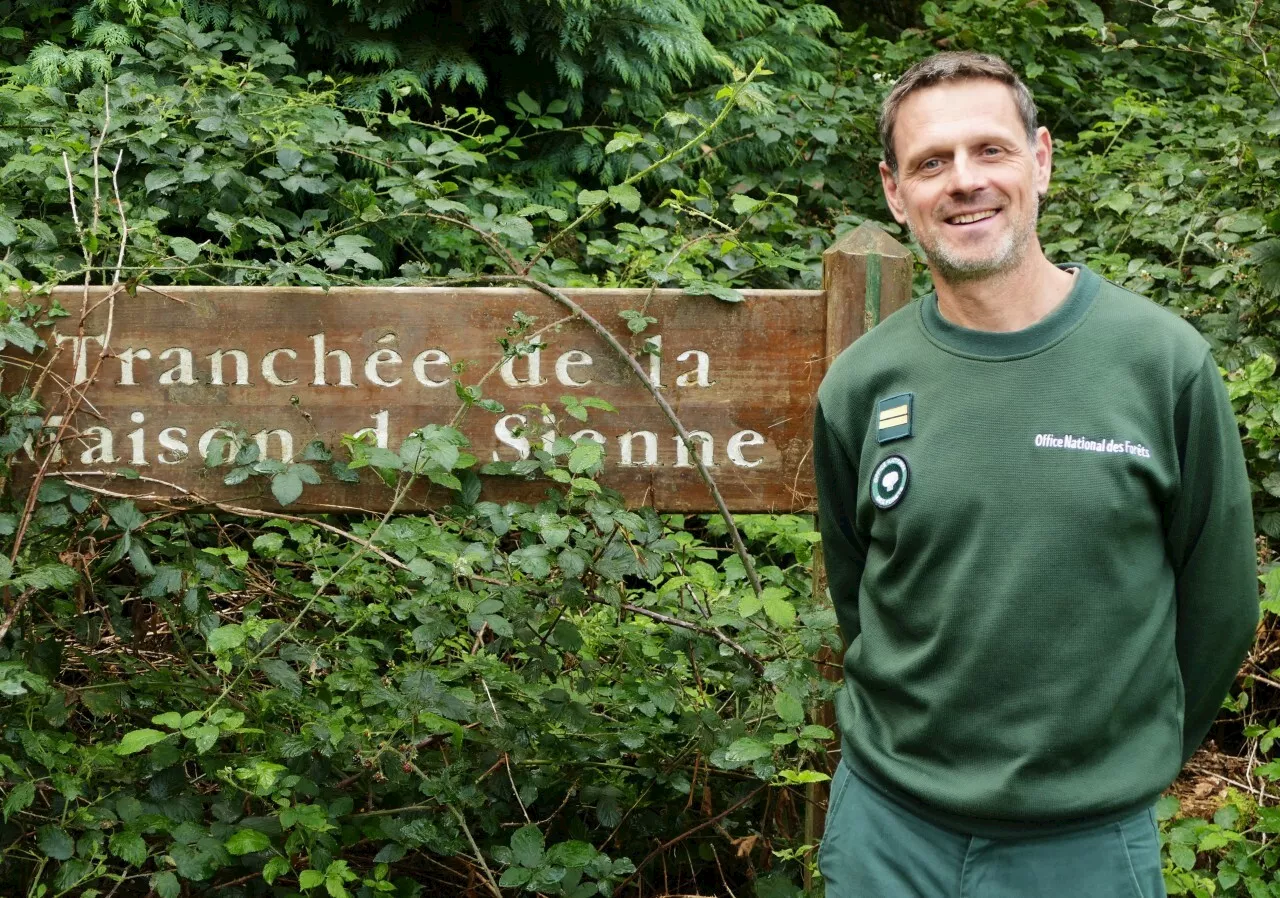 La nature va reprendre ses droits dans une partie de cette forêt de Normandie