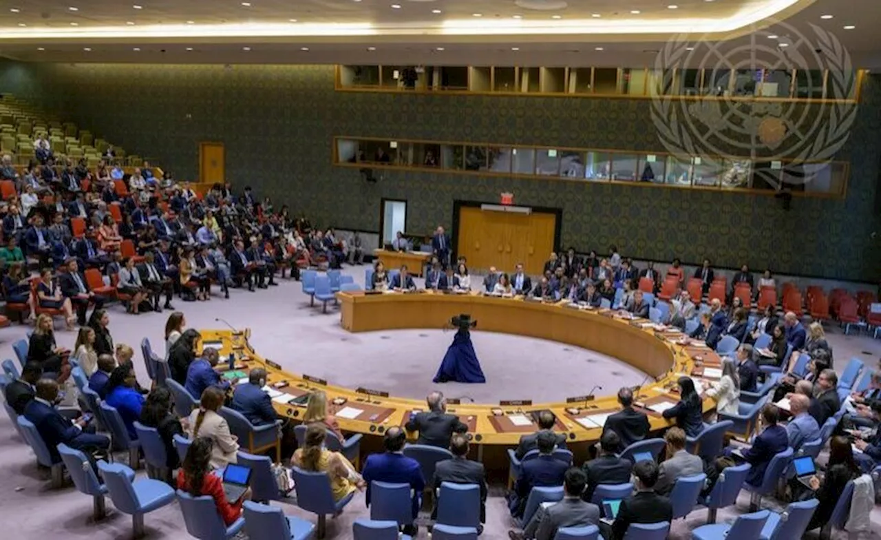 Africa: U.S. Backs Two Permanent Seats for Africa On UN Security Council