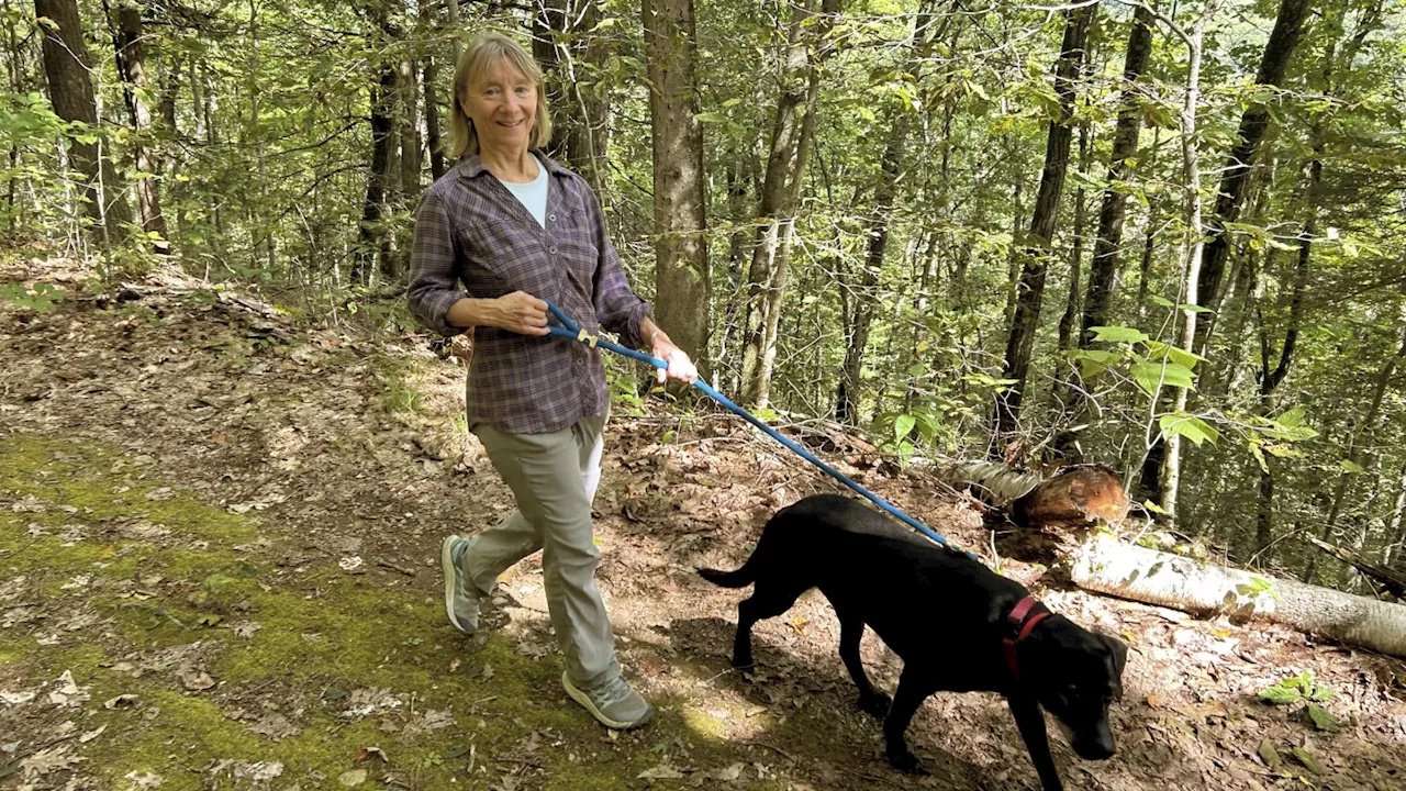 Dogs bring loads of joy but also perils on a leash