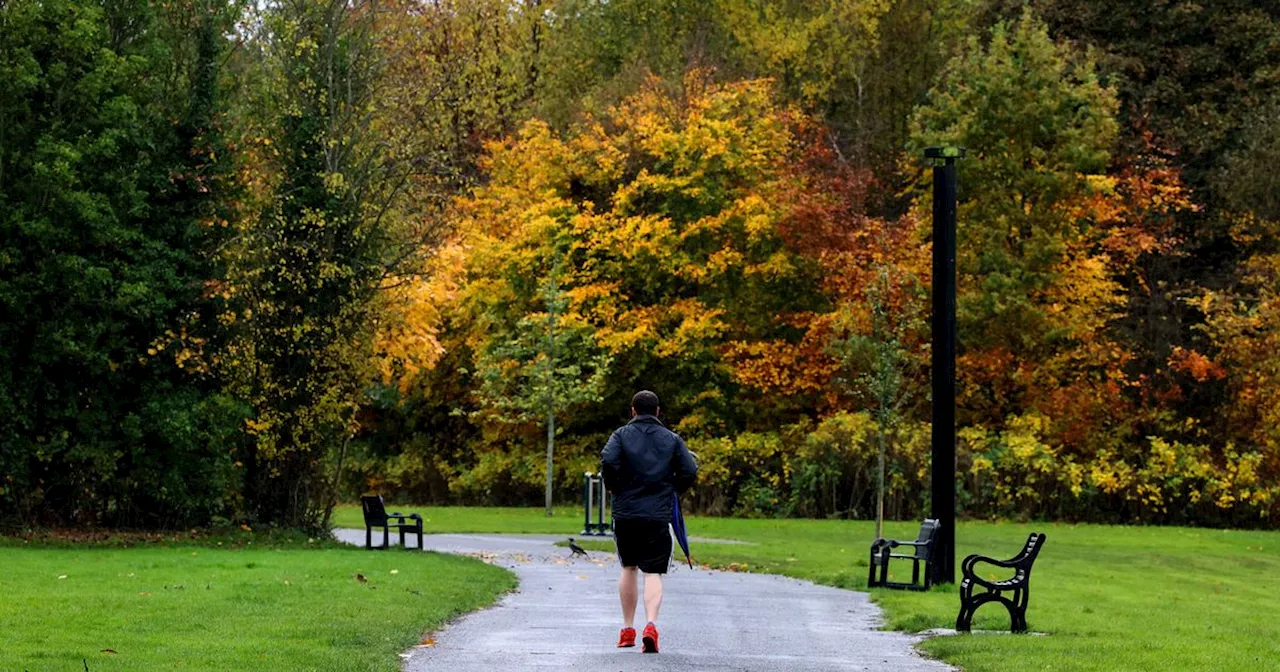 Walks across NI that are perfect for exploring this Autumn