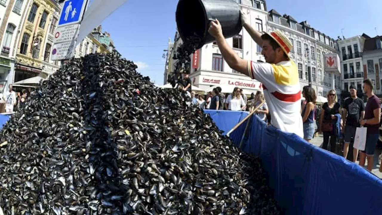 Braderie de Lille: que vont devenir les coquilles de moules de cette édition 2024?