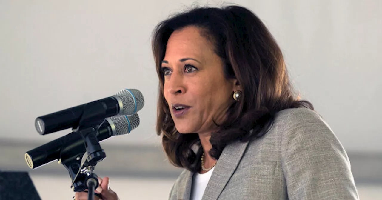 Harris Spox: Harris Would Prioritize Fighting Border Gangs Differently from Biden