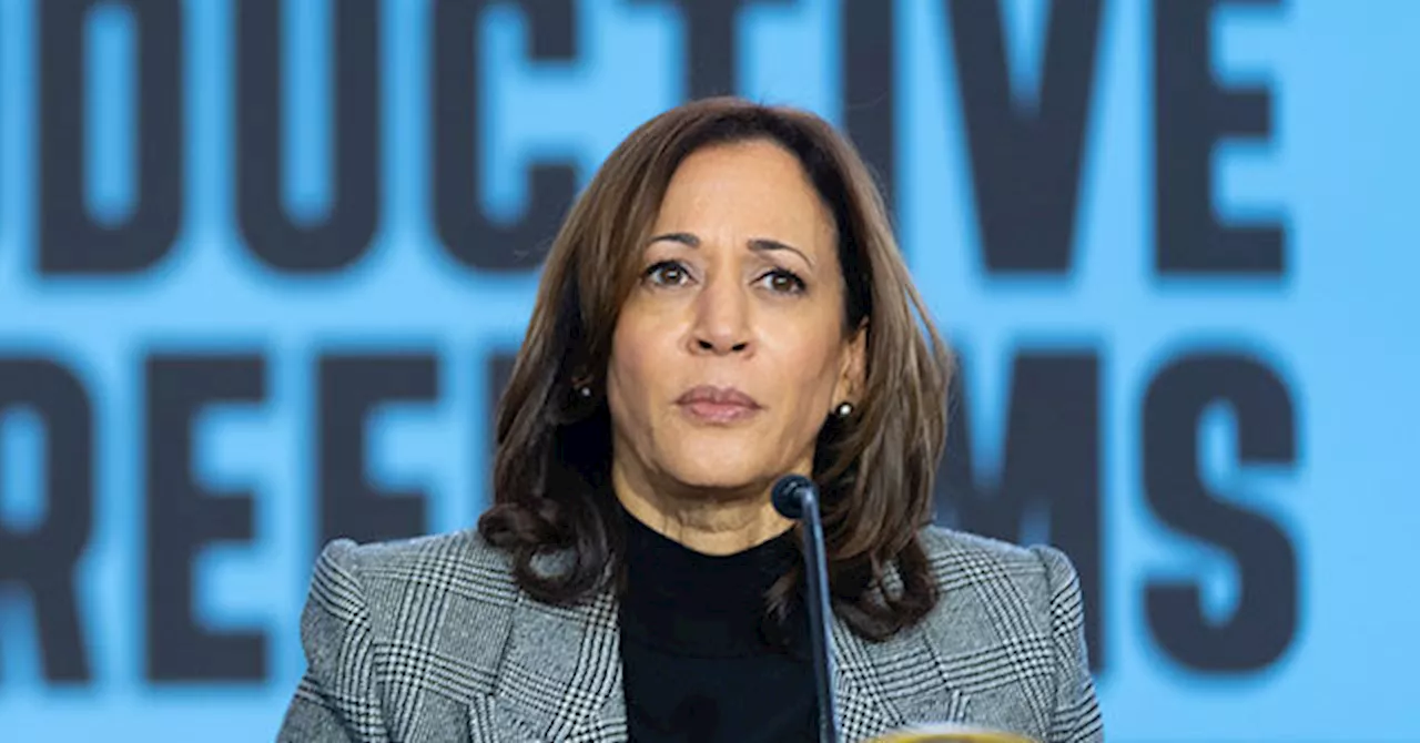 Nolte: Poll — 78% of Voters Want Kamala Harris to do Media Interviews