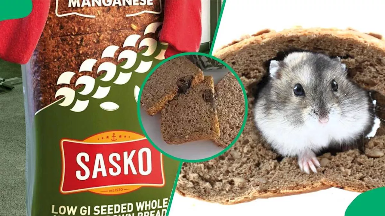 Baking Brand Sasko Officially Responds to Viral Rat Video: “We Are Devastated”