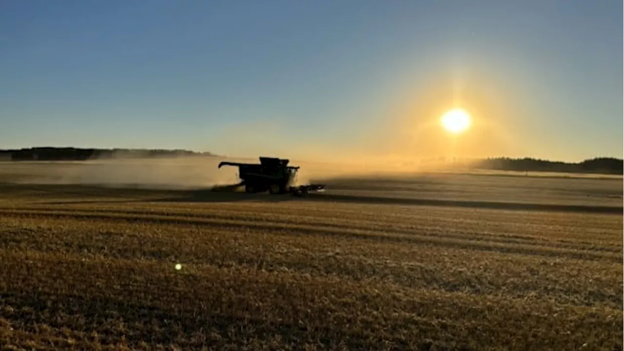 September deluge hits Alberta farmers hard during harvest time