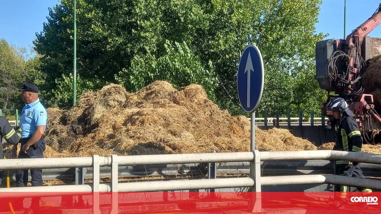 Camião que transportava palha destruído pelas chamas em Coimbra