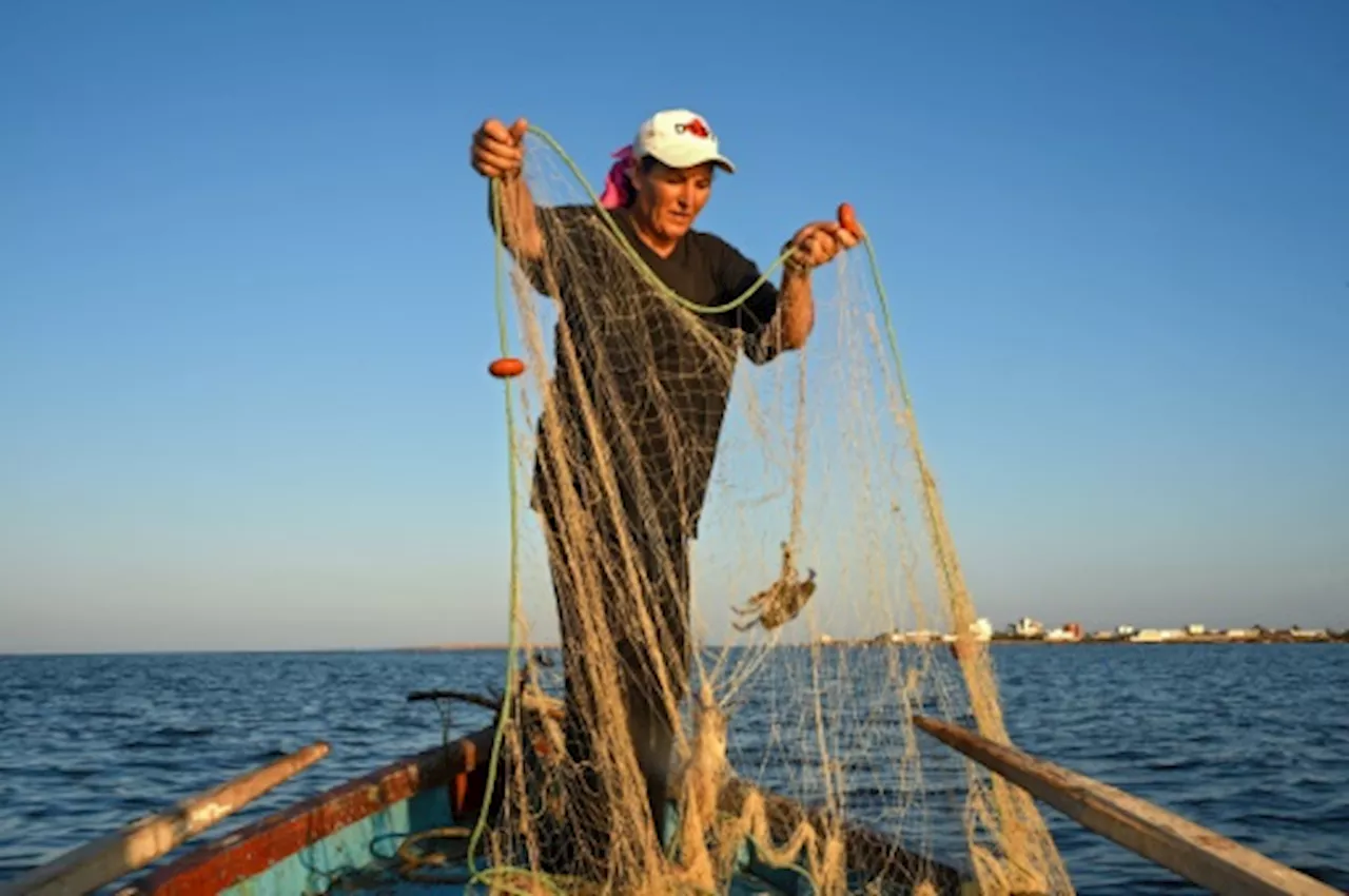 En Tunisie, des femmes pêcheuses combattent les inégalités et le changement climatique