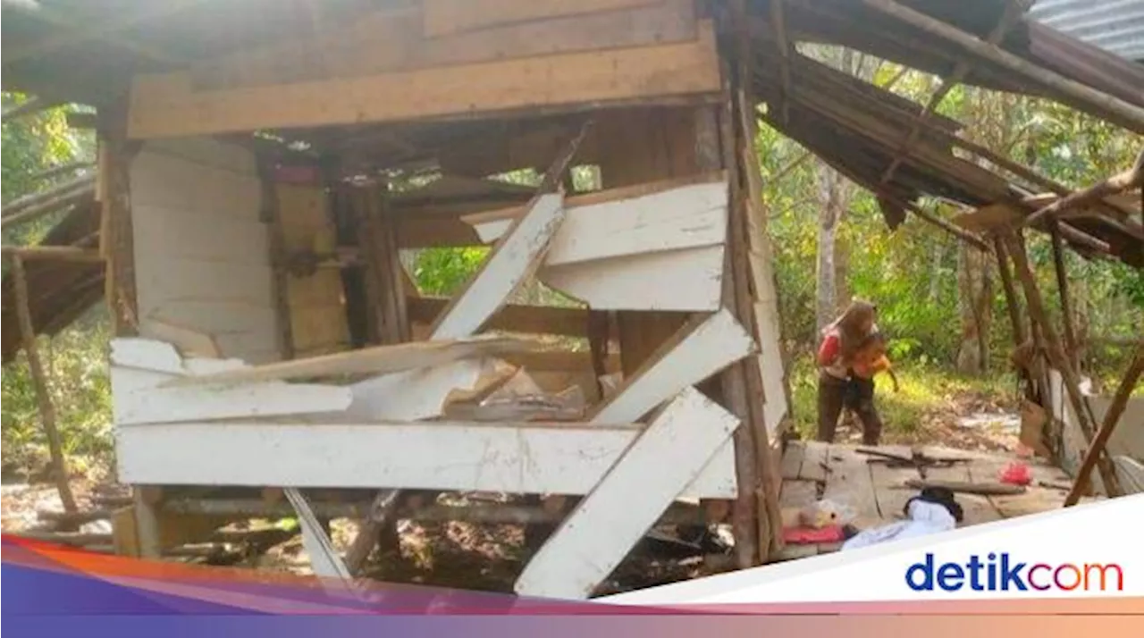 Gajah Liar Rusak Pondok Warga di Musi Rawas, BKSDA Terjun ke Lokasi