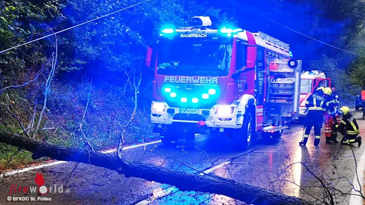 St. Pölten: Hunderte Feuerwehrleute im Einsatz wegen Unwetters